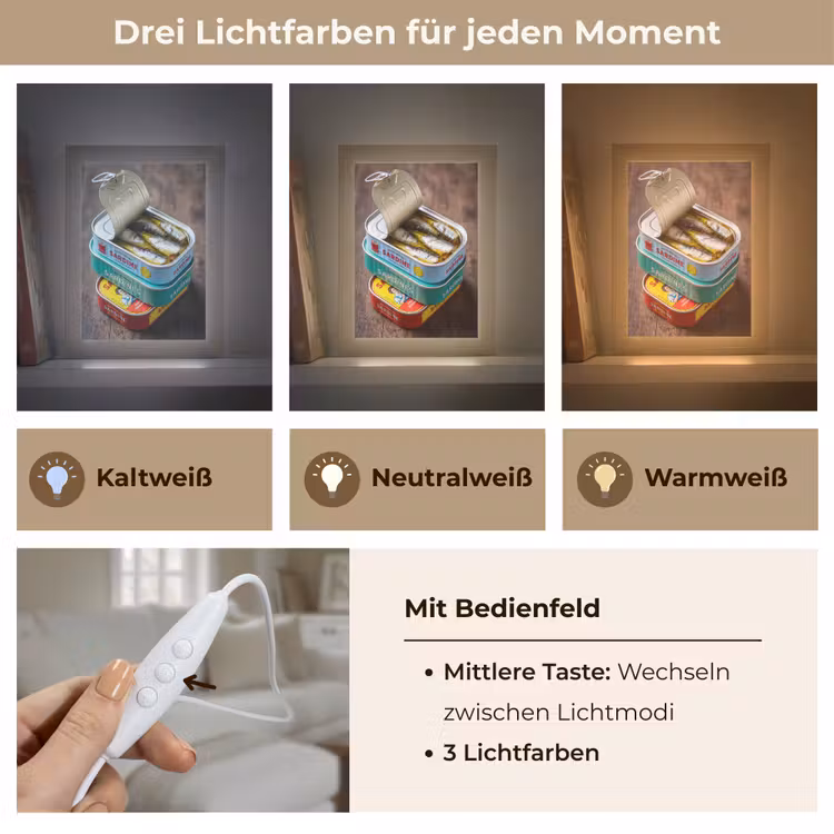 Tischlampe - Fisch – Dosen – Küche - Vis - Blikjes - Keuken Light Box met kabel (Tafellamp) klein