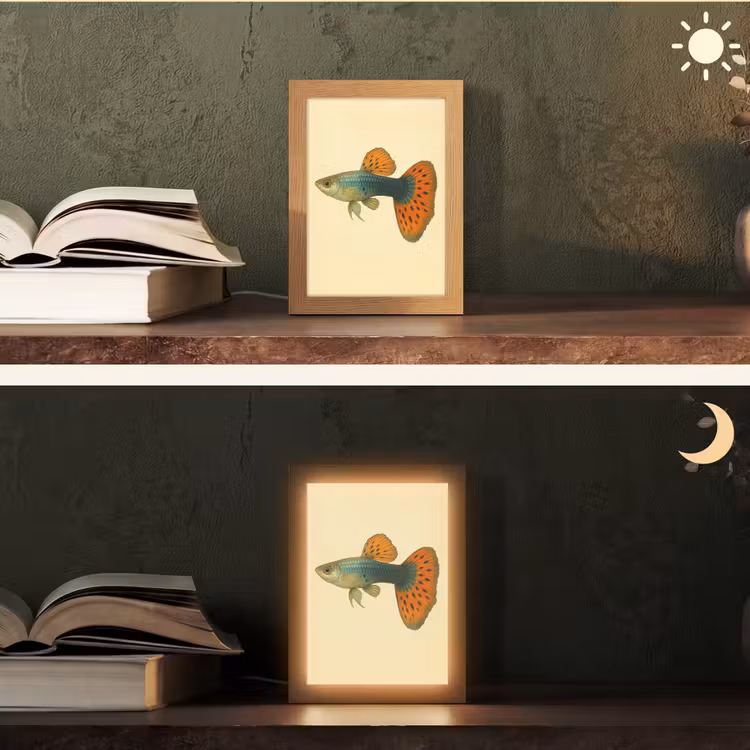 Vis - illustratie - Stippen - Oranje Light Box met kabel (Tafellamp) klein -sfeer3
