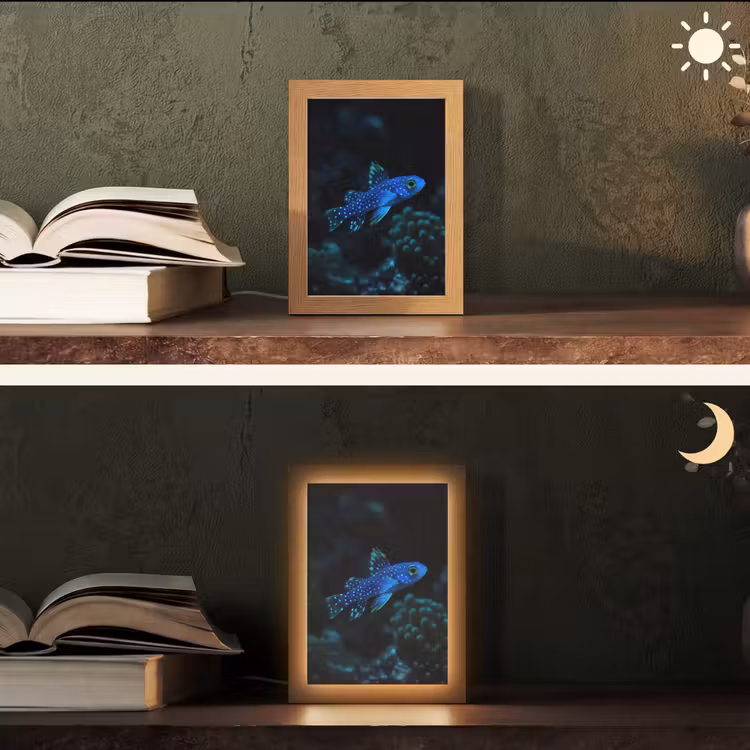 Vis - Stippen - Koraal - Blauw Light Box met kabel (Tafellamp) klein -sfeer3