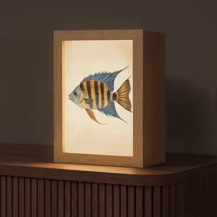 Vis - Tropisch - Strepen - Vinnen Light Box met kabel (Tafellamp) klein -z3d_website
