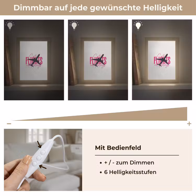 Catch flights not feelings - Vliegtuig - Roze Light Box met kabel (Tafellamp) klein -USP_dimbaarDE
