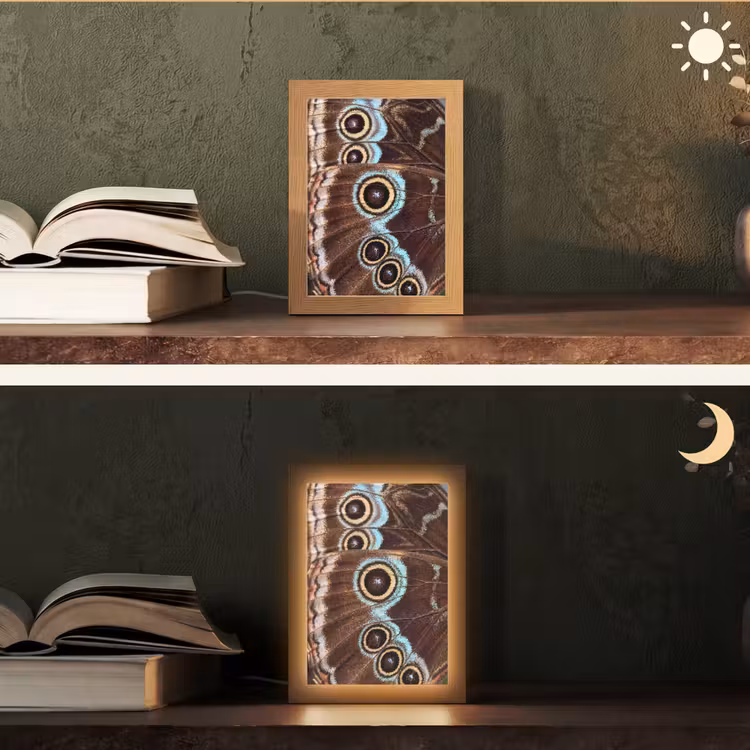 Vleugels - Vlinder - Blauw Light Box met kabel (Tafellamp) klein -sfeer3