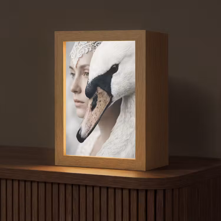 Vrouw - Zwaan - Wit Light Box met kabel (Tafellamp) klein -z3d_website