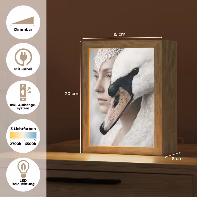 Vrouw - Zwaan - Wit Light Box met kabel (Tafellamp) klein -USP_DE