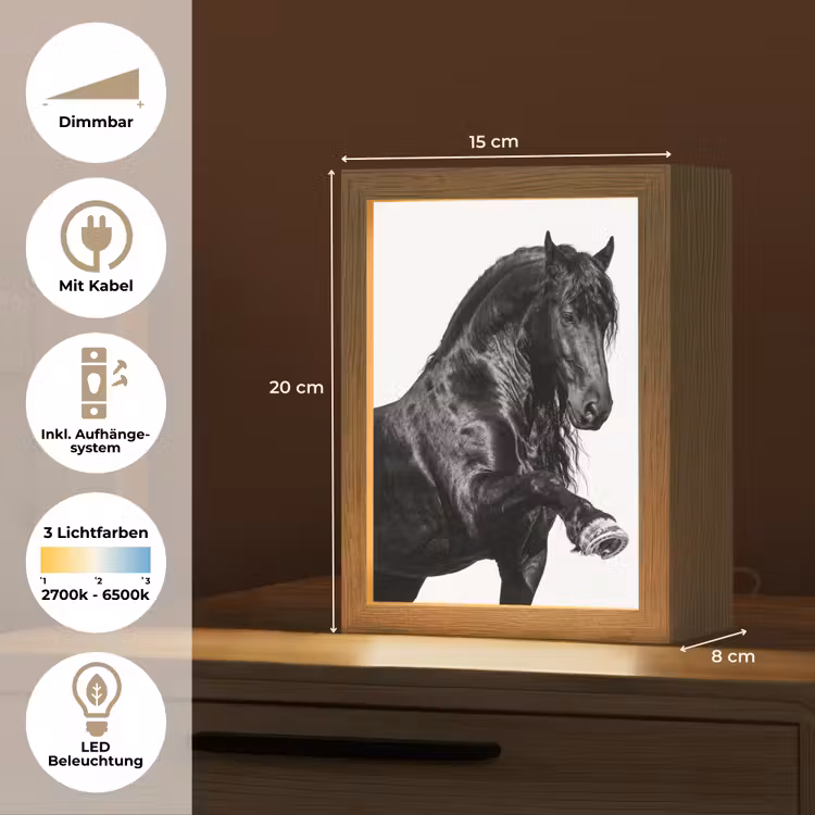 Fries - Hengst - Modern Light Box met kabel (Tafellamp) klein -USP_DE