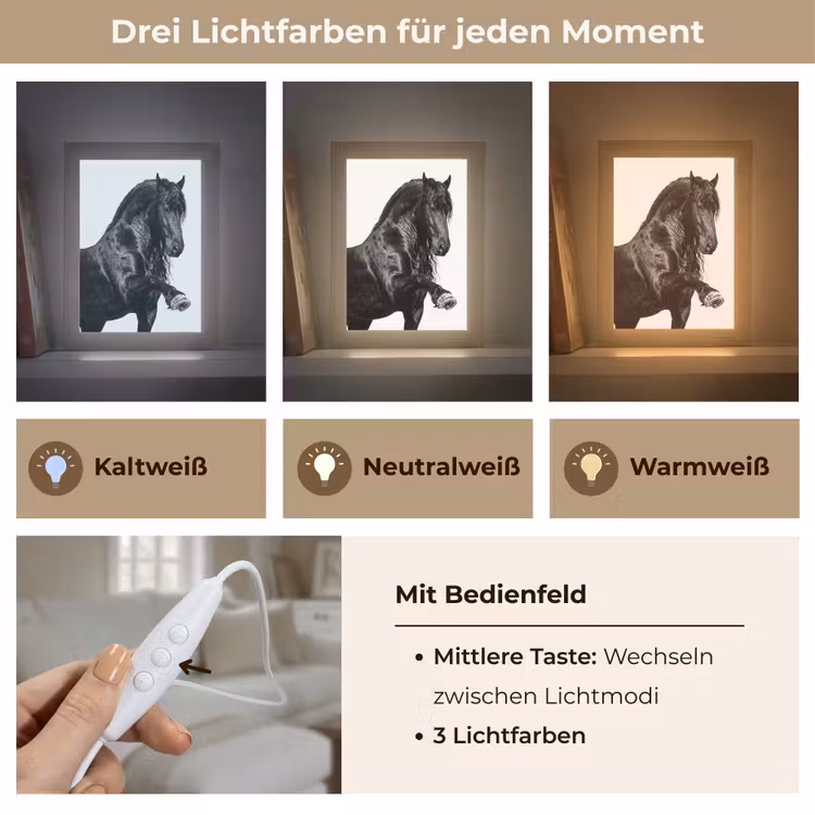 Fries - Hengst - Modern Light Box met kabel (Tafellamp) klein -USP_lichtkleurDE