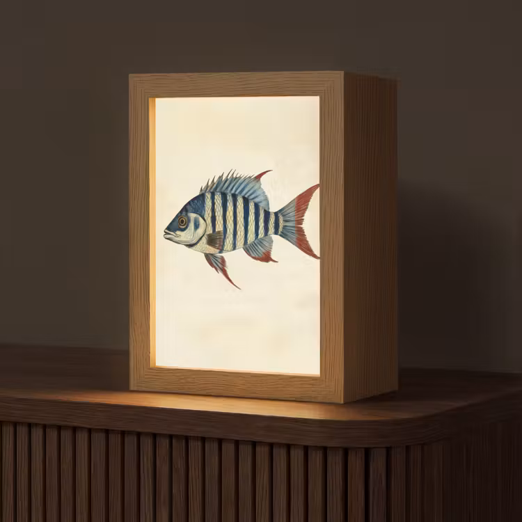 Gestreept - Donkerblauw - Rugvin - Vis Light Box met kabel (Tafellamp) klein -z3d_website