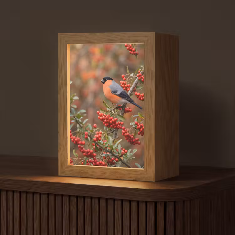 Goudvink - Bessen - Herfst - Natuur - Kleurrijk Light Box met kabel (Tafellamp) klein -z3d_website