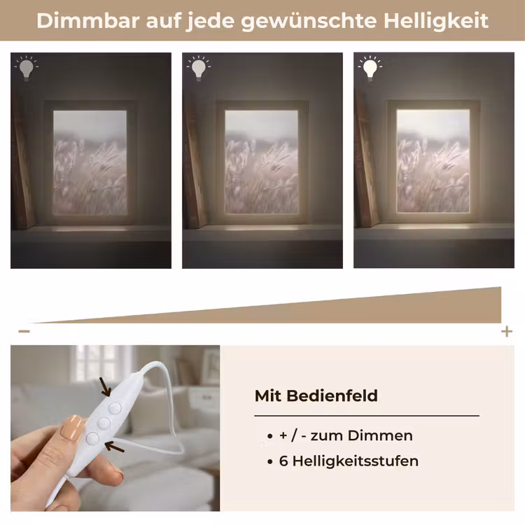 Graspluimen - Wind - Beige - Mistig Light Box met kabel (Tafellamp) klein -USP_dimbaarDE