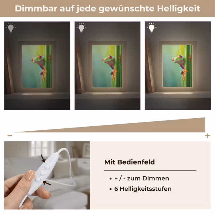 Groene kikker - Nieuwsgierig - Gras Light Box met kabel (Tafellamp) klein -USP_dimbaarDE