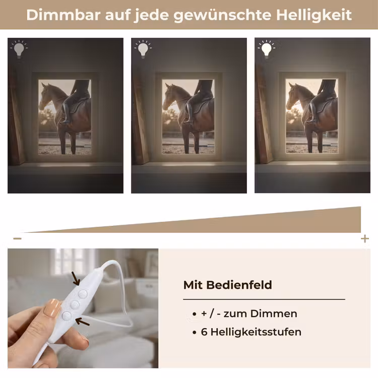 Harmonie - Ruiter - Zon Light Box met kabel (Tafellamp) klein -USP_dimbaarDE
