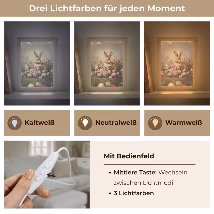 Haas - Stilleven - Bloemen Light Box met kabel (Tafellamp) klein -USP_lichtkleurDE