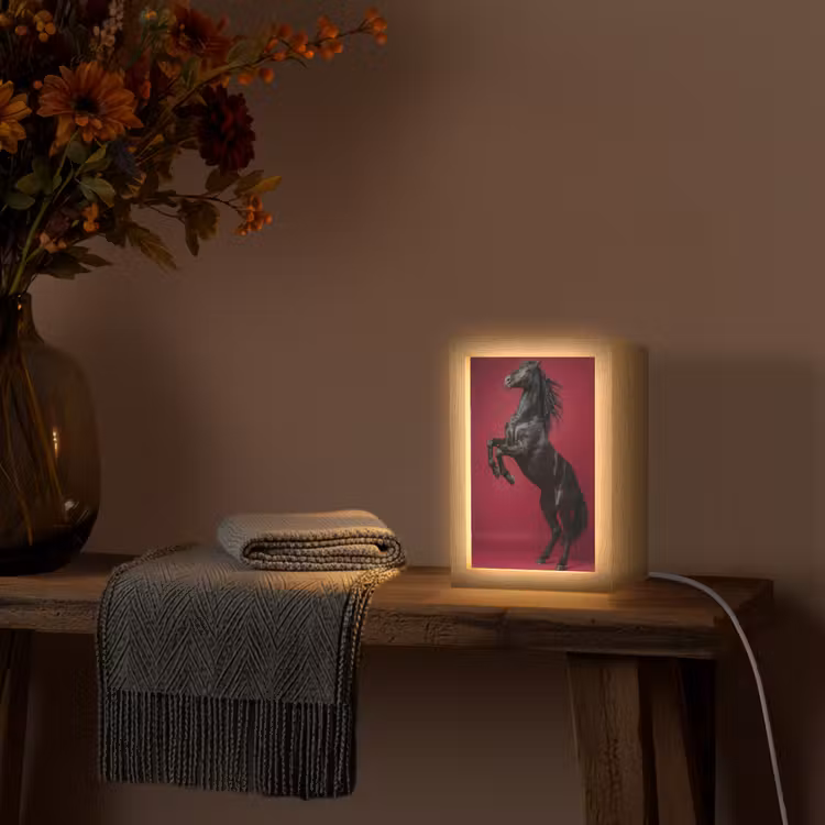 Hengst - Steigert - Rood Light Box met kabel (Tafellamp) klein -sfeer4