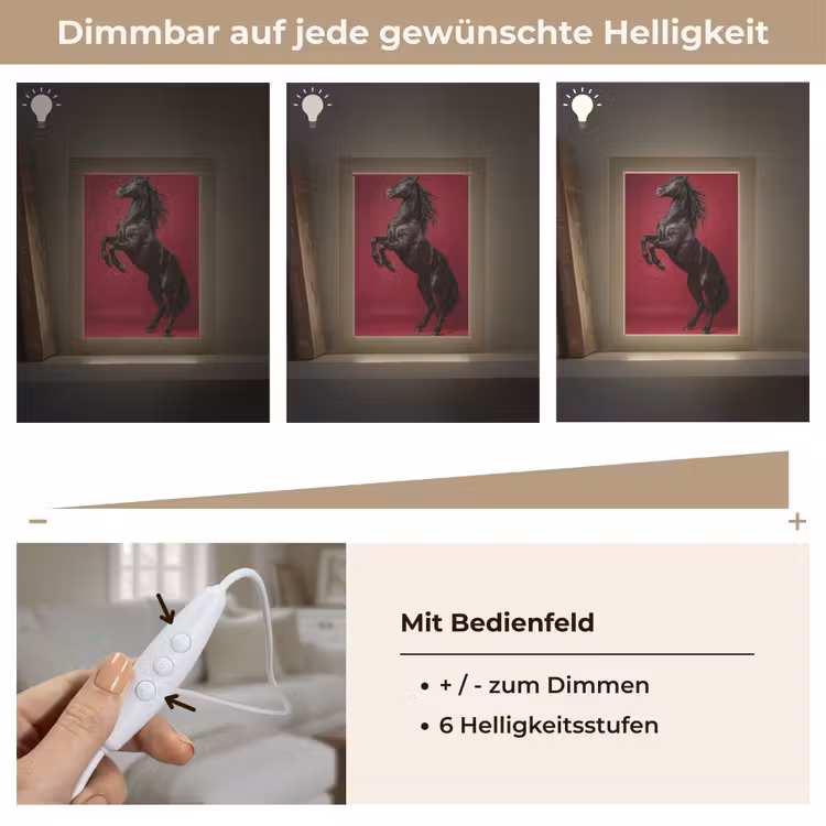 Hengst - Steigert - Rood Light Box met kabel (Tafellamp) klein -USP_dimbaarDE