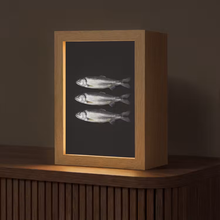 Haring - Vissen - Zwart Light Box met kabel (Tafellamp) klein -z3d_website