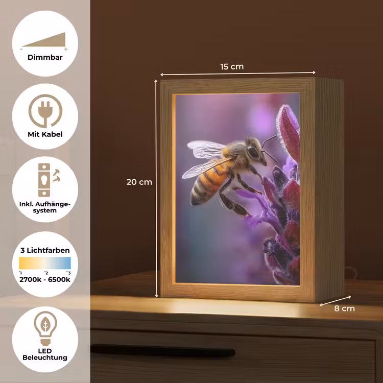 Honingbij - Paarse bloemen - Details Light Box met kabel (Tafellamp) klein -USP_DE