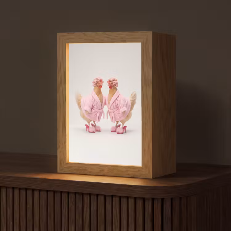 Kippen - Badjas - Krukspelden - Hakken Light Box met kabel (Tafellamp) klein -z3d_website