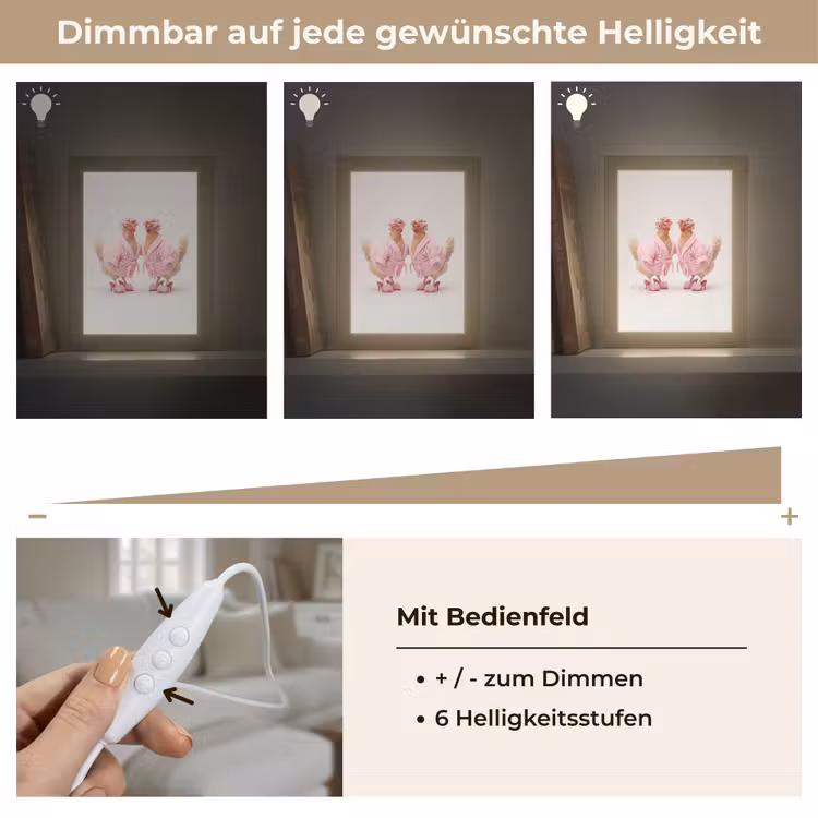 Kippen - Badjas - Krukspelden - Hakken Light Box met kabel (Tafellamp) klein -USP_dimbaarDE