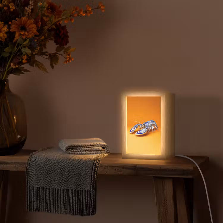 Kreeft - Delftsblauw - Schild - Stoer - Oranje Light Box met kabel (Tafellamp) klein -sfeer4