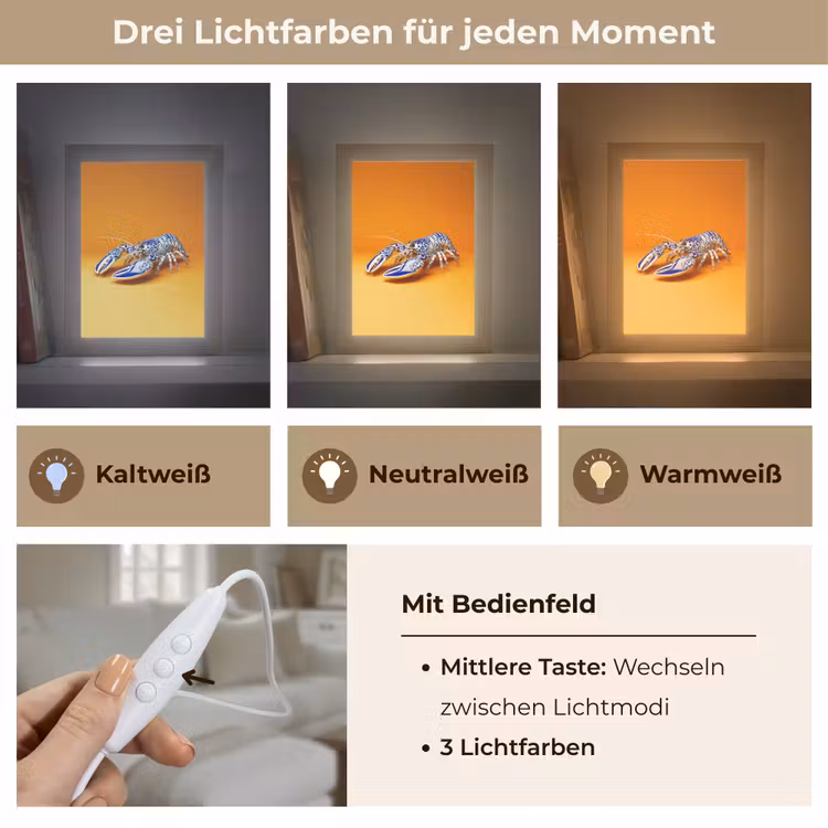 Kreeft - Delftsblauw - Schild - Stoer - Oranje Light Box met kabel (Tafellamp) klein -USP_lichtkleurDE