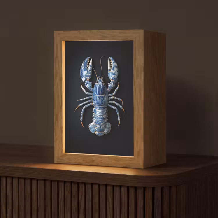 Kreeft - Delftsblauw - Schild - Stoer Light Box met kabel (Tafellamp) klein -z3d_website