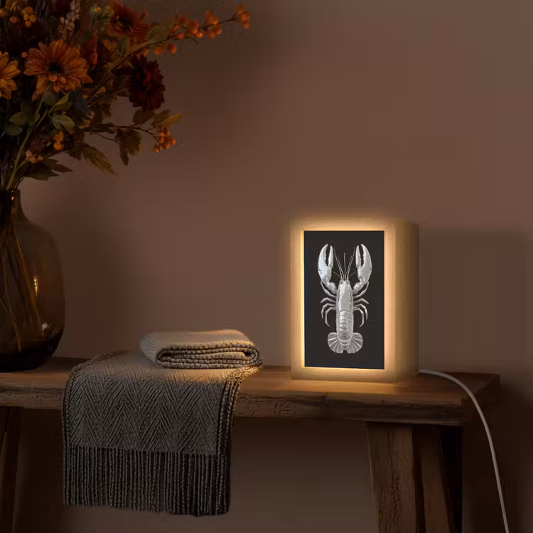 Kreeft - Zilver - Metallic - Luxe Light Box met kabel (Tafellamp) klein -sfeer4