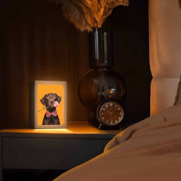 Hond - Oranje - Roos - Valentijn Light Box met kabel (Tafellamp) klein -sfeer1