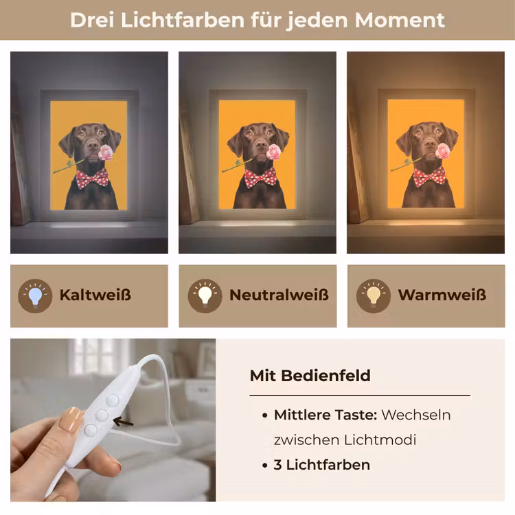 Hond - Oranje - Roos - Valentijn Light Box met kabel (Tafellamp) klein -USP_lichtkleurDE