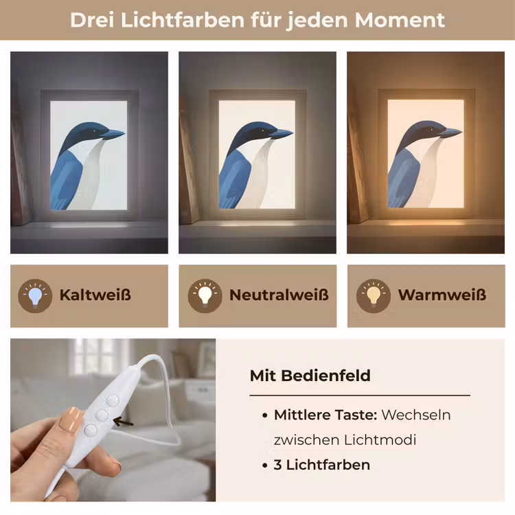 Illustratie - Blauw - Vogel Light Box met kabel (Tafellamp) klein -USP_lichtkleurDE