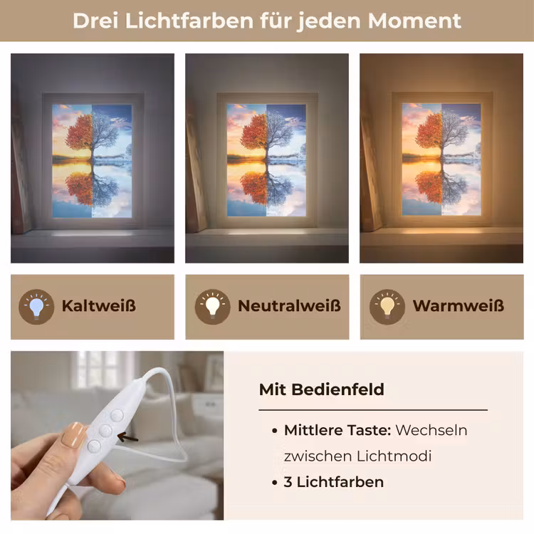 Seizoenen - Kunst - Boom - Herfst - Winter Light Box met kabel (Tafellamp) klein -USP_lichtkleurDE