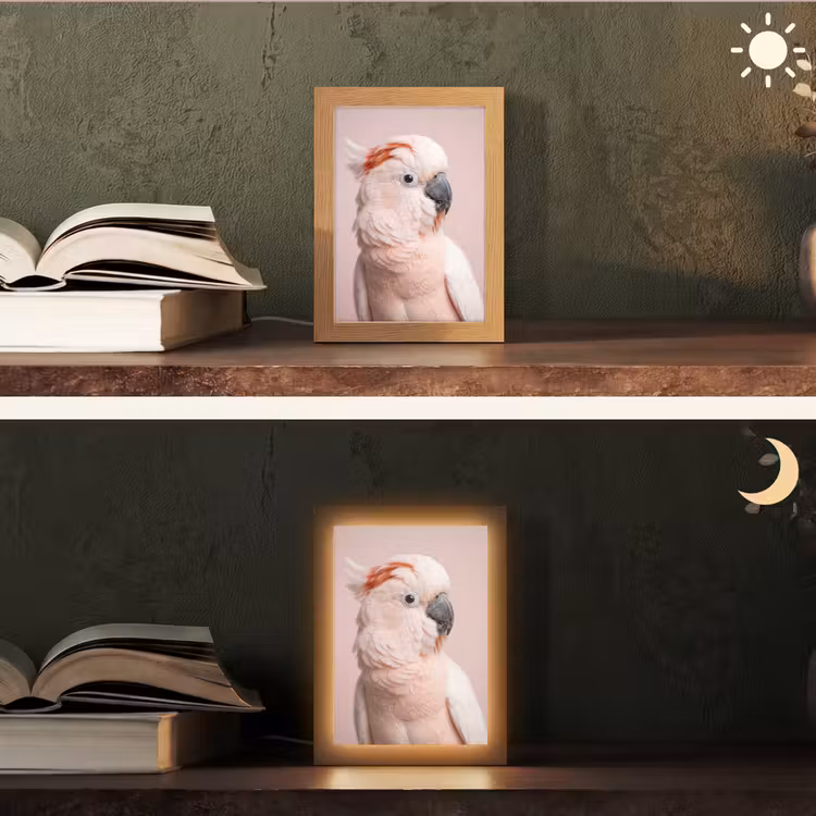 Kaketoe - Portret - Roze Light Box met kabel (Tafellamp) klein -sfeer3