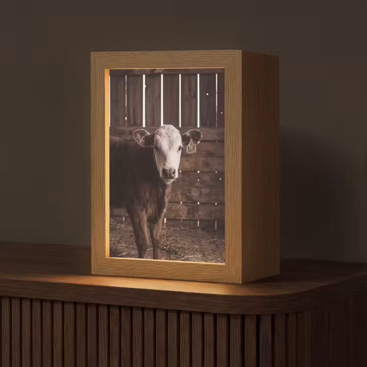 Kalf - Oormerk - Houten stal Light Box met kabel (Tafellamp) klein -z3d_website
