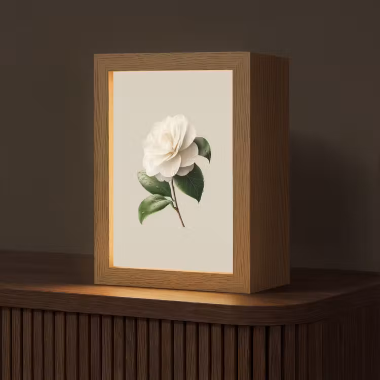 Cameliabloem - Wit - Groen Light Box met kabel (Tafellamp) klein -z3d_website