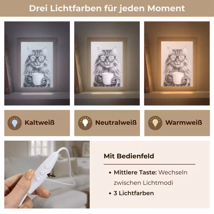 Kat - Bril - Mok - Pluizig Light Box met kabel (Tafellamp) klein -USP_lichtkleurDE