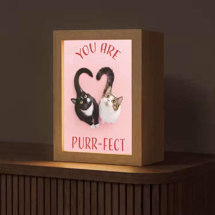 Kat - Hart - Tekst - Valentijn Light Box met kabel (Tafellamp) klein -z3d_website