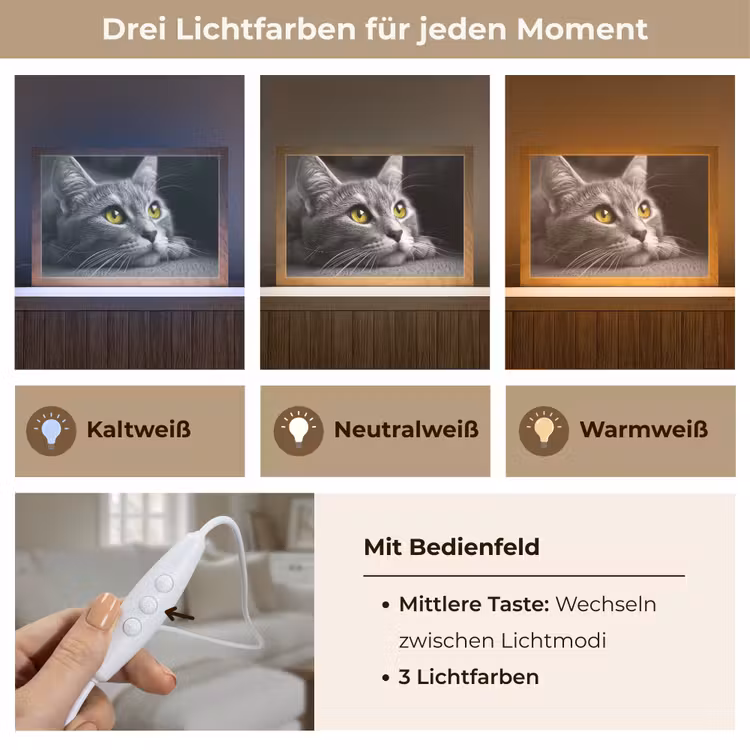 Kat - Zwart - Wit - Dieren - Natuur Light Box met kabel (Tafellamp) klein -USP_lichtkleurDE