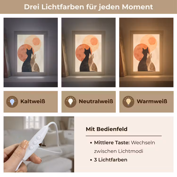 Katten - Zwart - Abstract - Cirkels Light Box met kabel (Tafellamp) klein -USP_lichtkleurDE
