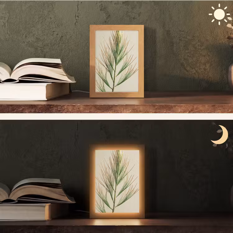 Dennentak - Naaldvormige bladeren - Lichtgroen Light Box met kabel (Tafellamp) klein -sfeer3