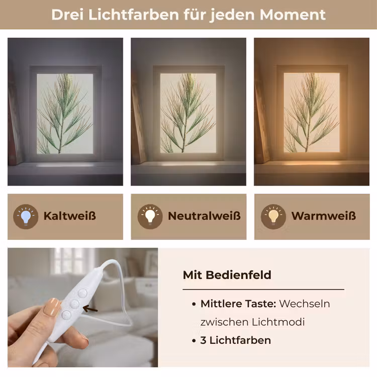 Dennentak - Naaldvormige bladeren - Lichtgroen Light Box met kabel (Tafellamp) klein -USP_lichtkleurDE