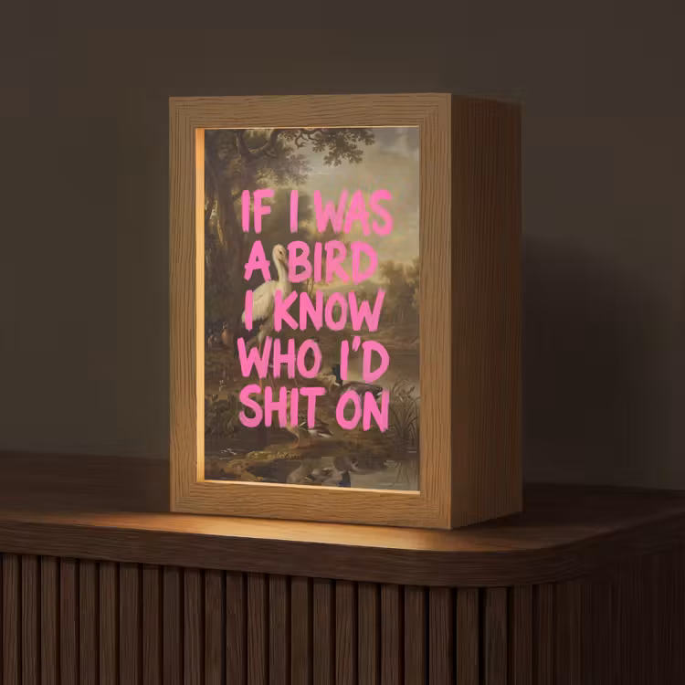 Klassiek - Humor - Roze Light Box met kabel (Tafellamp) klein -z3d_website
