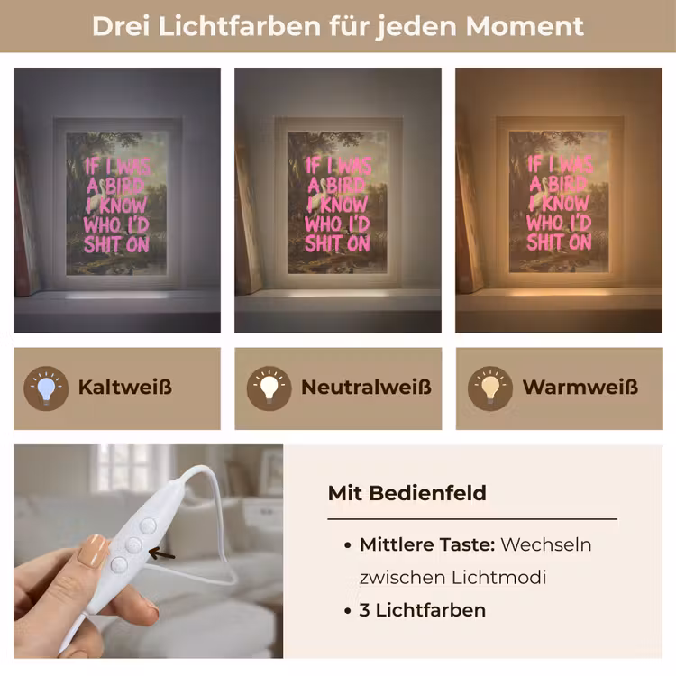 Klassiek - Humor - Roze Light Box met kabel (Tafellamp) klein -USP_lichtkleurDE