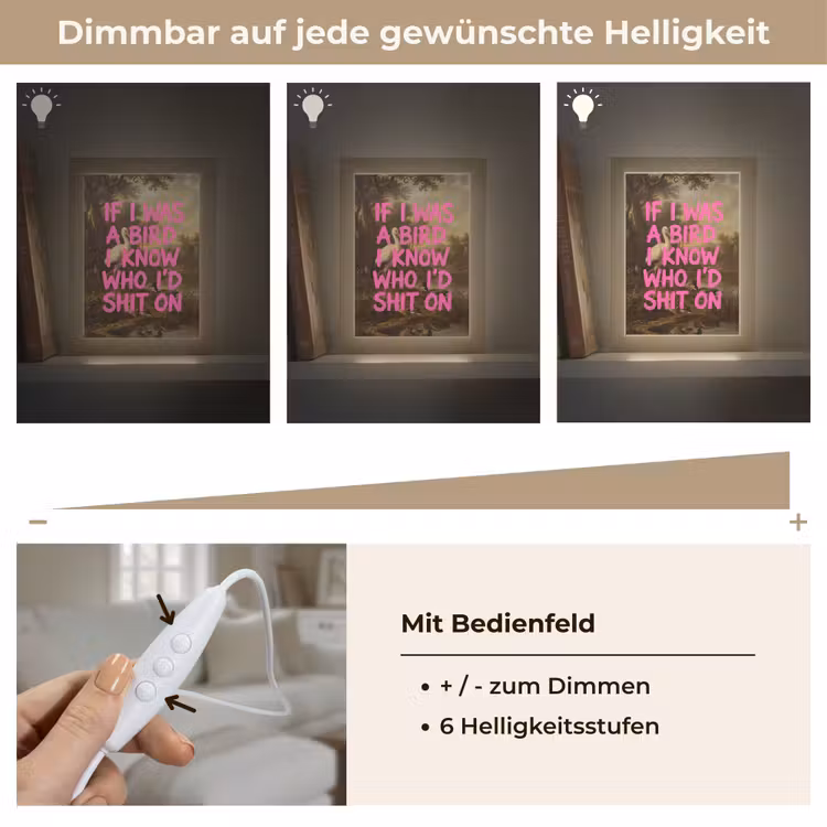 Klassiek - Humor - Roze Light Box met kabel (Tafellamp) klein -USP_dimbaarDE