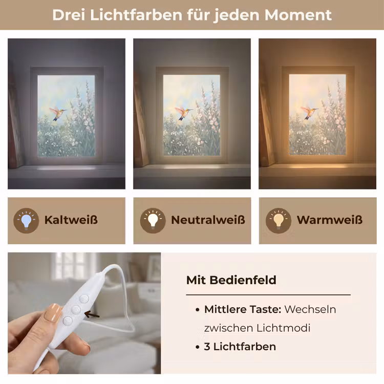 Kolibrie - Illustratie - Kleurrijk Light Box met kabel (Tafellamp) klein -USP_lichtkleurDE