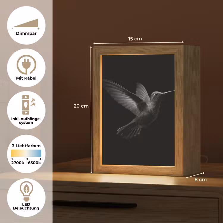 Kolibrie - Zwart - Dieren Light Box met kabel (Tafellamp) klein -USP_DE
