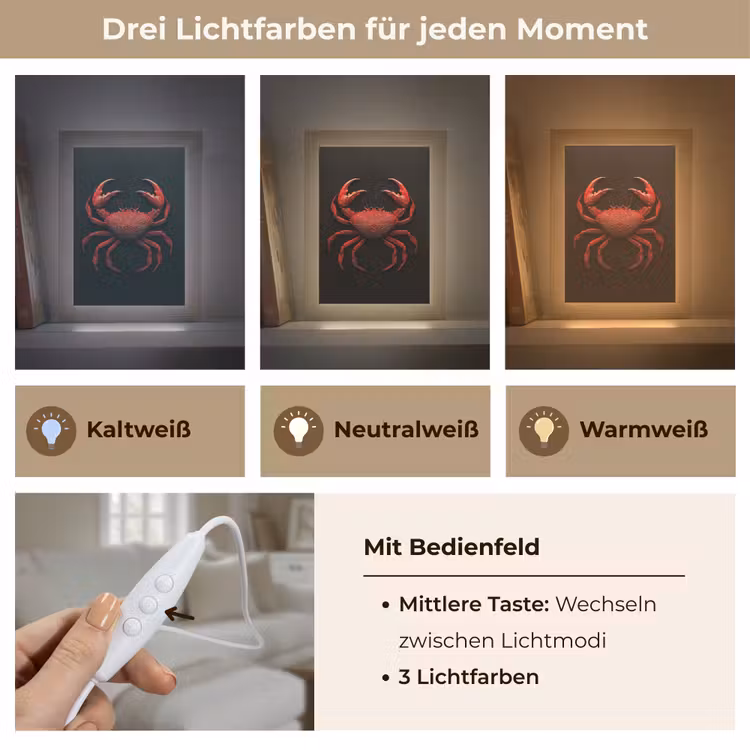 Krab - Rood - Vissen - Schaaldieren Light Box met kabel (Tafellamp) klein -USP_lichtkleurDE