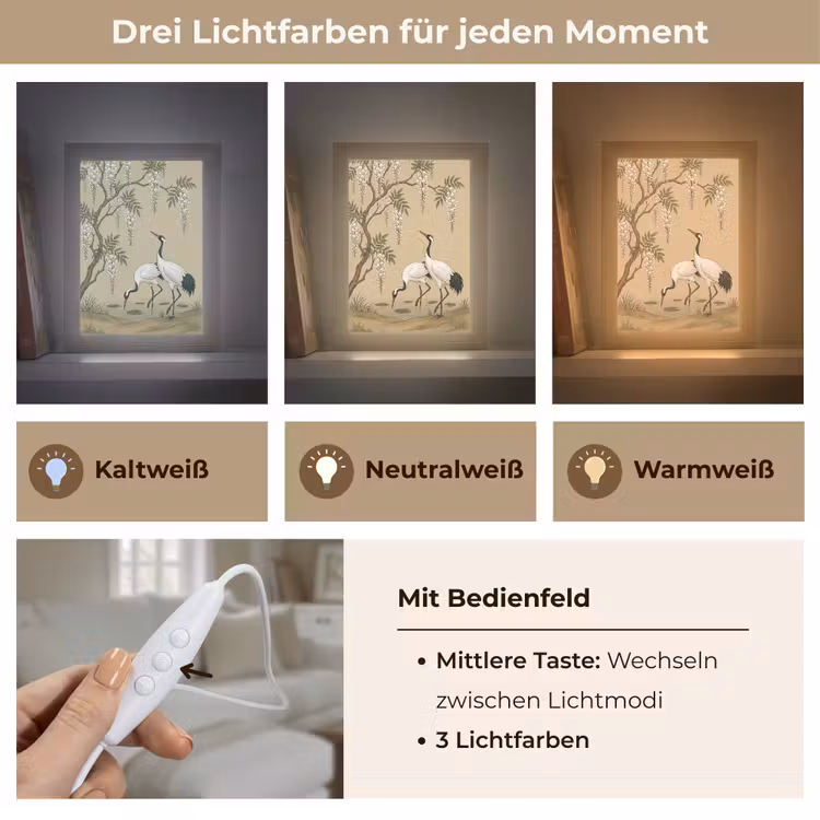 Kraanvogels - Water - Beige Light Box met kabel (Tafellamp) klein -USP_lichtkleurDE