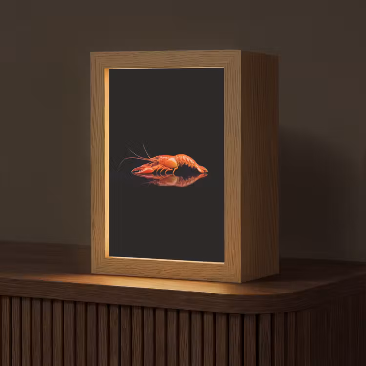 Kreeft - Oranje - Zwart - Opvallend Light Box met kabel (Tafellamp) klein -z3d_website