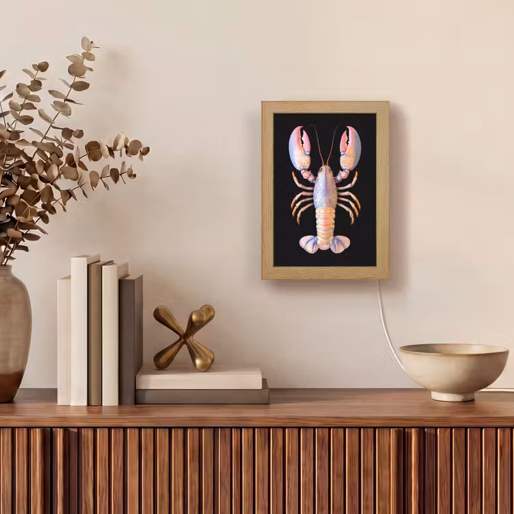 Kreeft - Roze - Zacht - Zwart Light Box met kabel (Tafellamp) klein -sfeer2