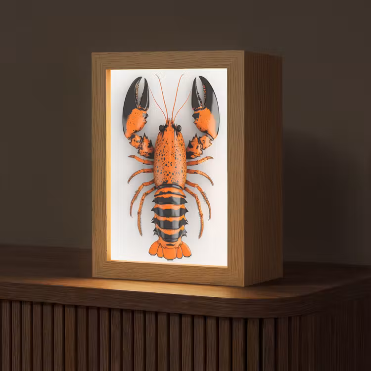 Kreeft - Zwart - Oranje - Wit - Uniek Light Box met kabel (Tafellamp) klein -z3d_website