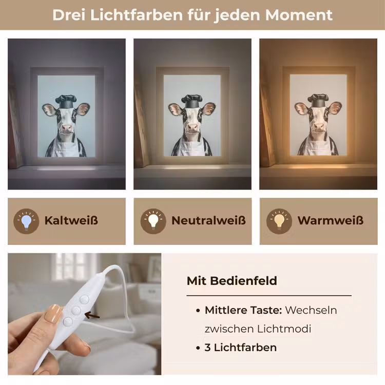 Koe - Zwart - Wit - Kok Light Box met kabel (Tafellamp) klein -USP_lichtkleurDE